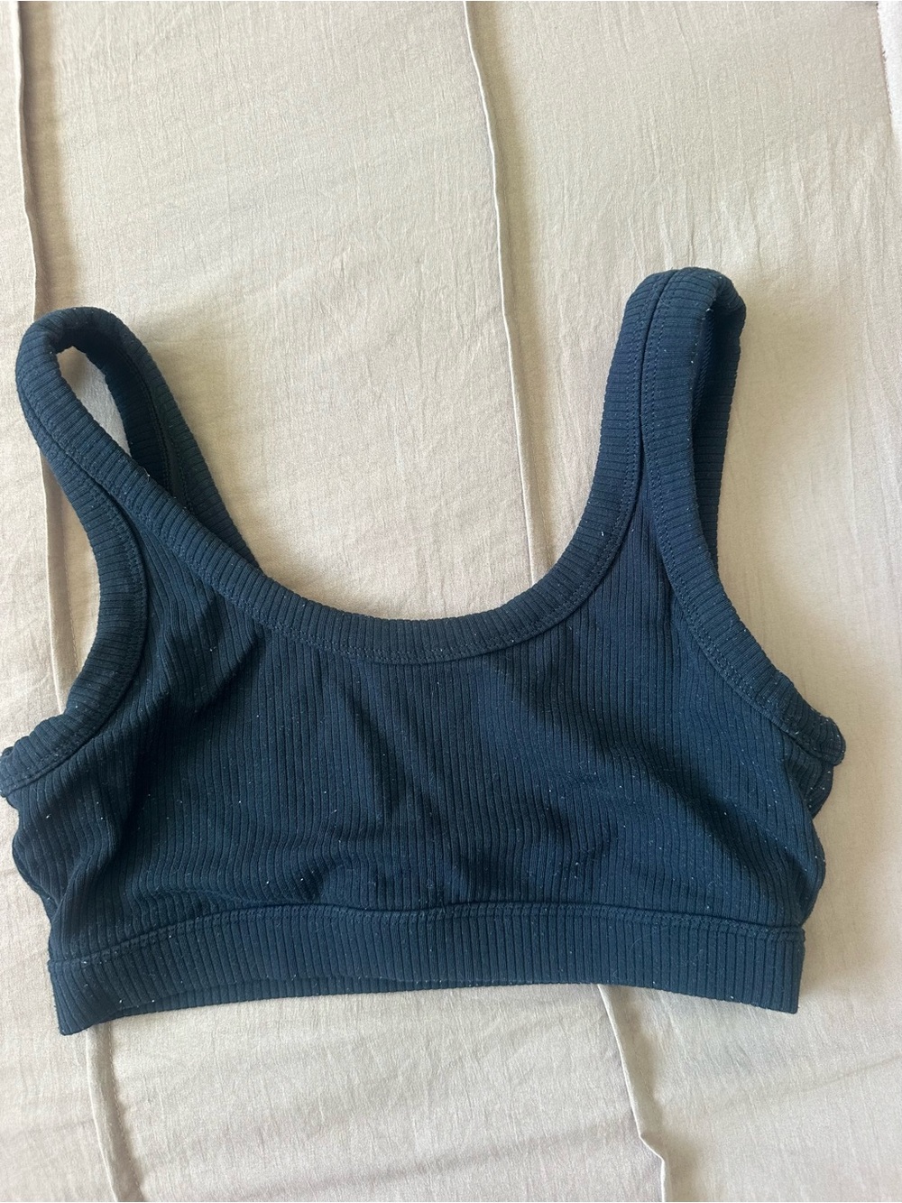 ALO Yoga Black Ribbed Crop Tank Bra